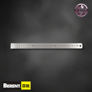 STAINLESS STEEL RULER - BERENT
