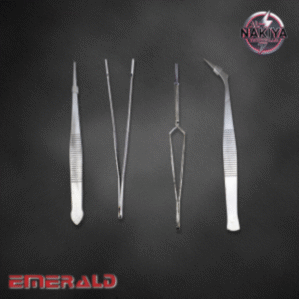 SS TWEEZERS SET ANTI MAGNETIC