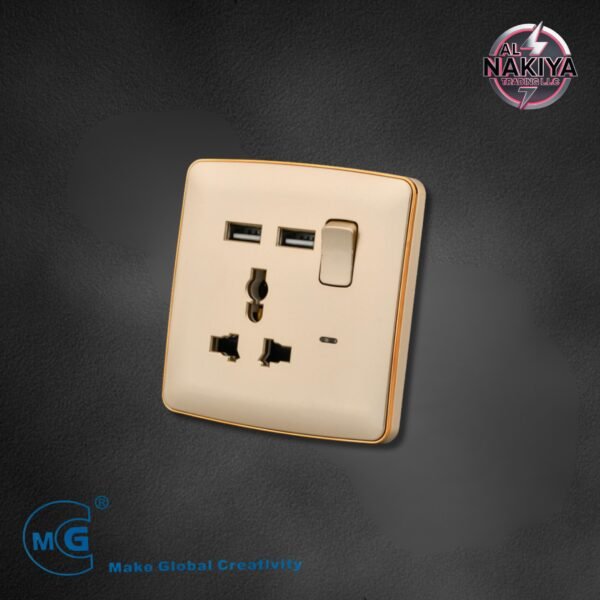MULTI 13A SOCKET WITH SWITCH AND NEON USB + C TYPE( GOLD+GOLD)