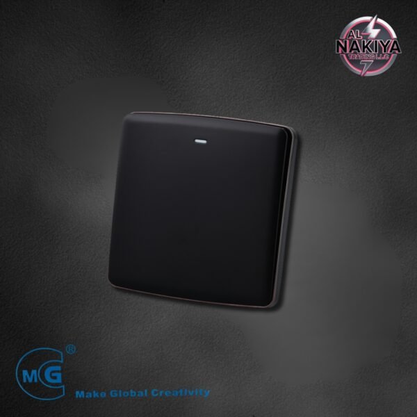 1G 1 WAY SWITCH ( BLACK+SILVER)