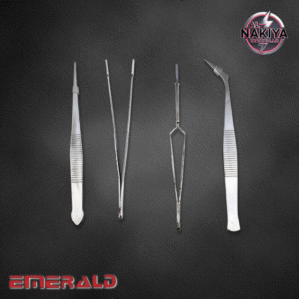 SS TWEEZERS SET ANTI MAGNETIC