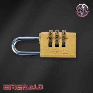 TOP SECURITY CODED PADLOCK