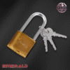 PAD LOCK WITH LONG SHACKLE